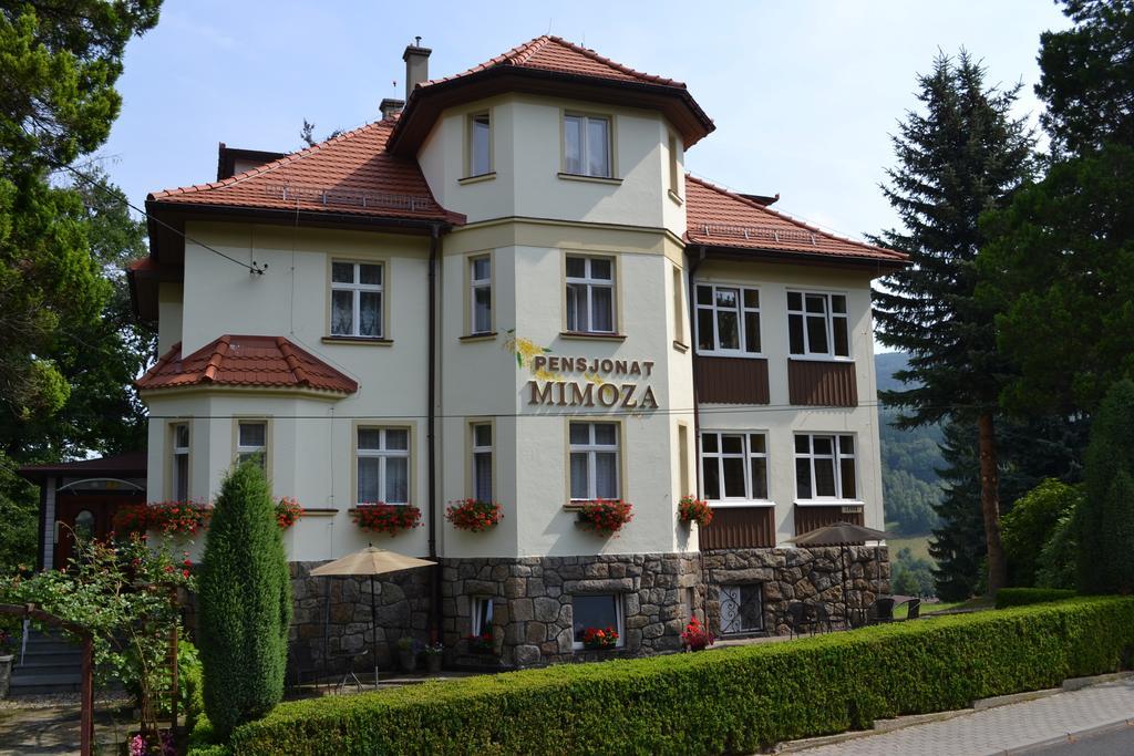 Pensjonat Mimoza Сверадув-Здруй Экстерьер фото